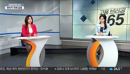 [고용브리핑365] 렌터카 피해 급증