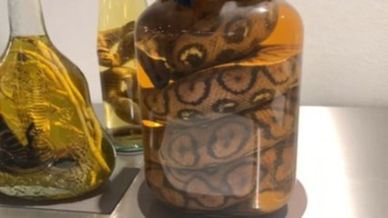 Ojos de oveja y vino de serpiente: Museo de la comida repugnante en Berlín