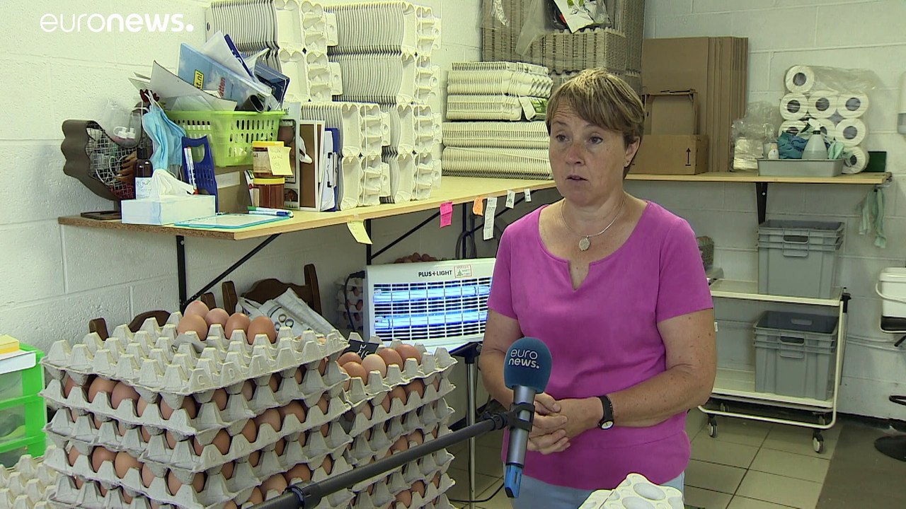 Bauern kritisieren EU-Agrarreform: zu schnell, zu realitätsfern