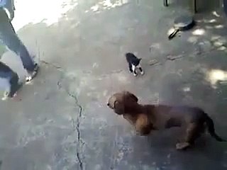 Annelik böyle bir şey olsa gerek...