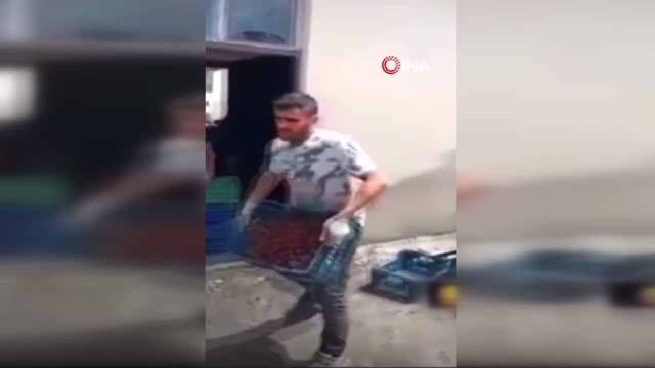 Meyvelerin üzerinde ayakkabıları ile gezen 4 kişi serbest bırakıldı