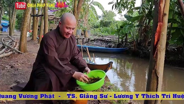 Trị Dứt Điểm Bệnh Gout (bệnh Gút) Với Bài Thuốc Đơn Giản, Dễ Tìm. Gs.lương Y. Thầy Thích Trí Huệ