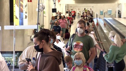 Falsche Covid-Zertifikate - Polizei macht Jagd auf Cyberkriminelle