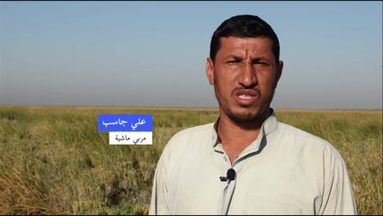 شبح التصحر يهدد ما تبقى من أراضي العراق الزراعية ومواشيه