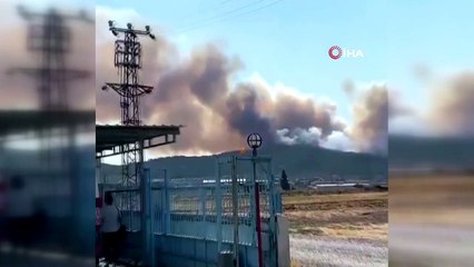 İzmir'de ormanlık alanda yangın