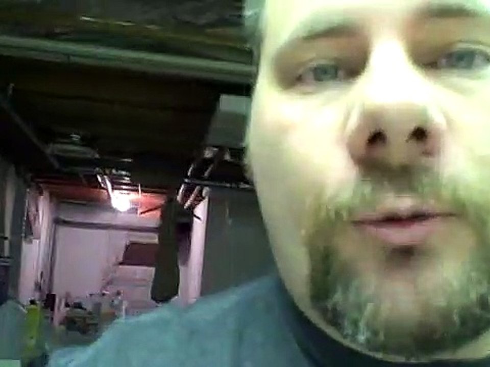 Corn Snake Eggs Hatching