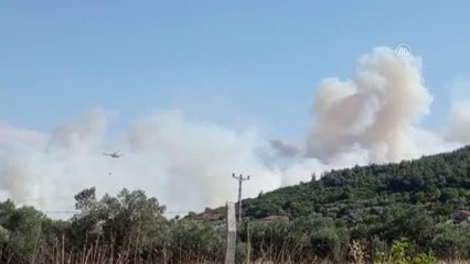 İzmir'de çıkan orman yangınına müdahale ediliyor
