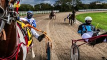 Take a Look at These Amazing Horse Racing Pictures