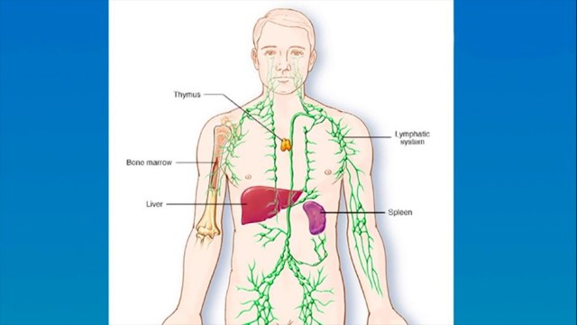 bd-ganglios-inflamados-sus-causas-caracteristicas-y-tratanientos-080721