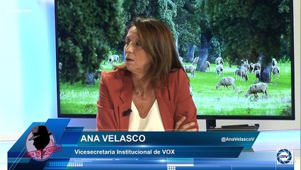 Ana Velasco: Se ve que en el Gobierno no hay un proyecto común, no son un equipo, no tienen nada solvente para España