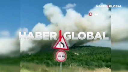 İzmir Foça'da ormanlık alanda yangın çıktı