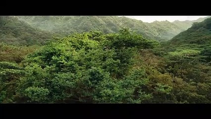 Hunger Games - L'Embrasement |2013| WebRip en Français