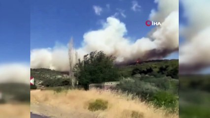 İzmir'de ormanlık alanda yangın
