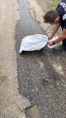 Belediye çalışanlarının merakı kedinin kurtuluşu oldu