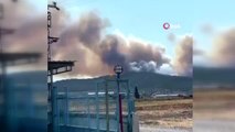 Son dakika haberleri! İzmir'de ormanlık alanda yangın