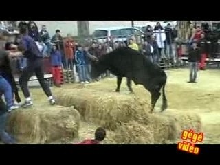 encierro aigues vives finale du 24 02 08 correges - vellas