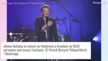 Johnny Hallyday : Le teaser de son grand concert hommage dévoilé