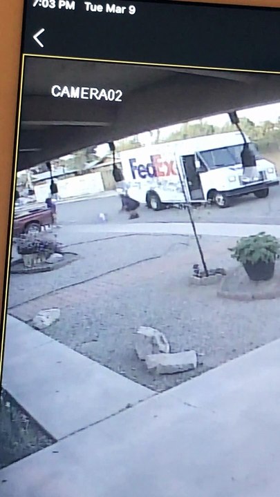 FedEx Driver Takes Dog From Property and Drives Off