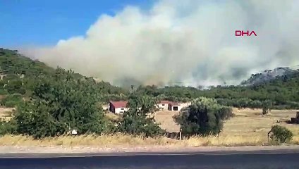 Foça'da orman yangını!