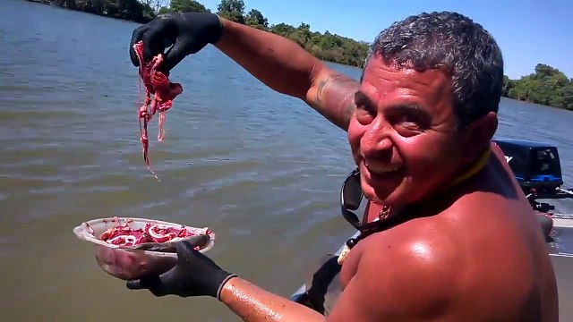 Il nourrit des piranhas à la main