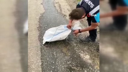 Belediye çalışanları ağzı bağlanmış çuvalın içindeki kediyi kurtardı