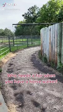 Dad Creates at Home Fair Ride Using Motorized Horse Walker