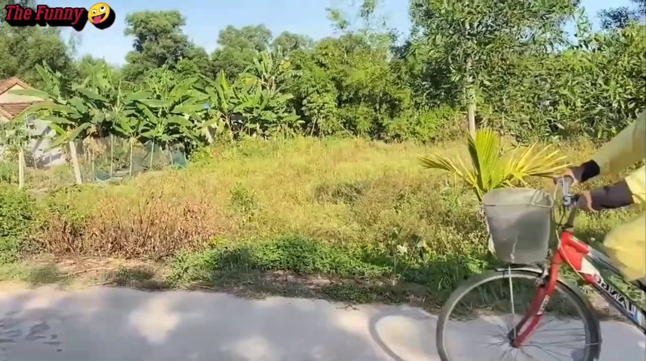 Funny Video Ep_1