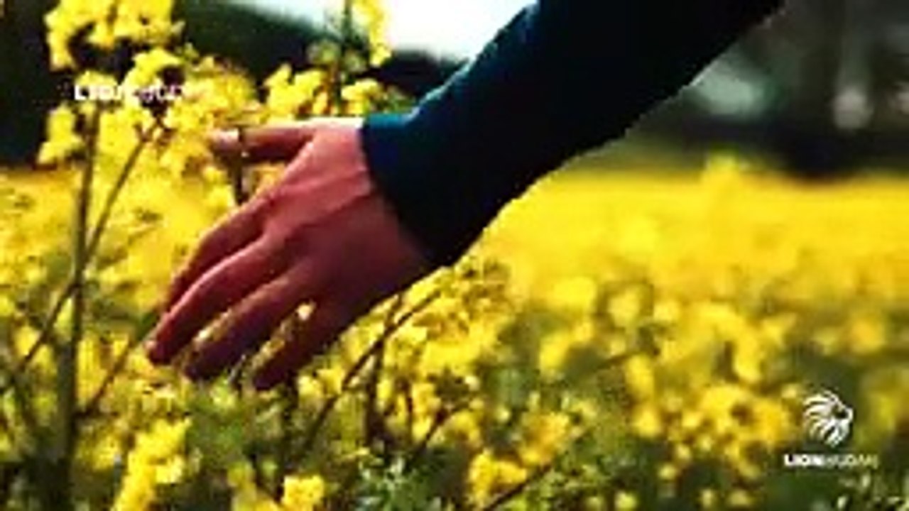 A Life Changing Prayer For Forgiveness Of Sins and Repentance