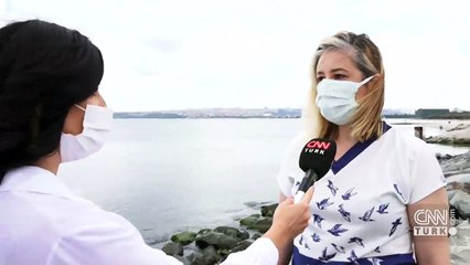 Martılar neden ölüyor?