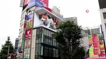 Tokyo'daki 3 boyutlu dev kedi gerçeğini aratmıyor