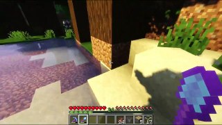 Minecraft Village #3: Cactus Farm, Bamboo Farm, Cactus And Bamboo Xp Farm