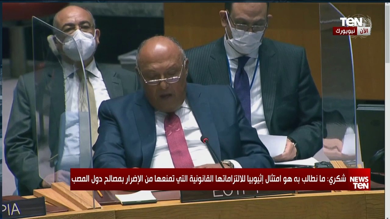 كلمة وزير الخارجية سامح شكري خلال جلسة مجلس الأمن الدولي بشأن أزمة سد النهضة