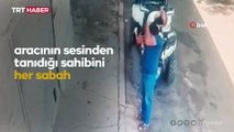 ‘Kara’ her sabah sahibini kapıda kucaklayarak karşılıyor