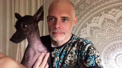 Aviso Importante: Caso Julian Assange