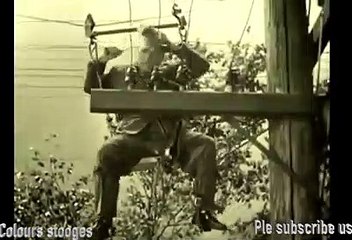 Moe | You dizzy in low places three stooges