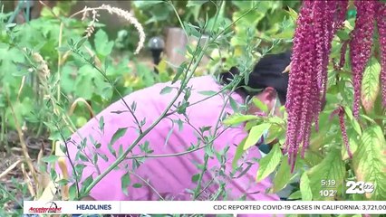 Neighbors come together to help community garden