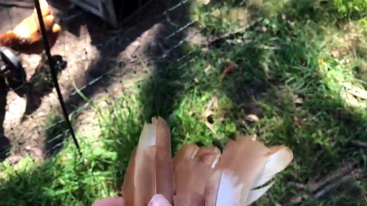 How To Make A Bow From Bamboo