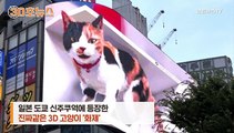 [30초뉴스] 日 신주쿠에 거대 고양이 출현 '깜짝'…정체는 3D 전광판