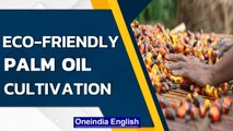 Fair Palm Oil From Sierra Leone |Know all about the product in your favourite munchies|Oneindia News