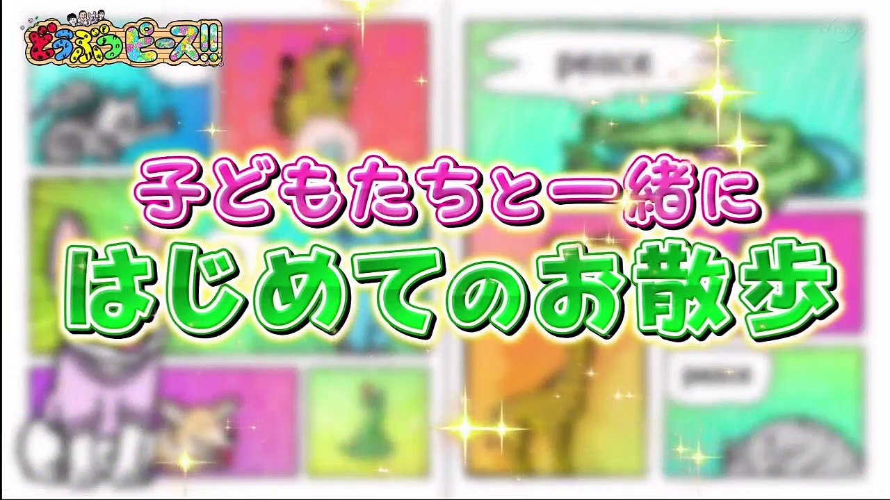 バラエティ動画 - どうぶつピース 動画　9tsu  2021年07月8日