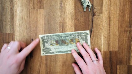Money Origami Animals  Dollar Giraffe Folding