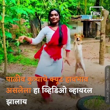 Pet Dog Cheers For Owner As She Dances For A Classical Song