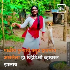 Pet Dog Cheers For Owner As She Dances For A Classical Song