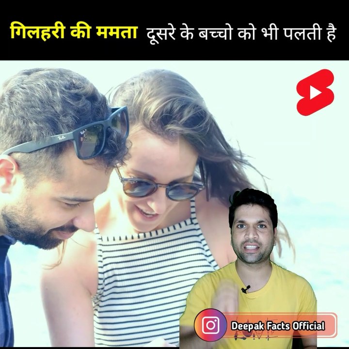 Kyu leti hai gilahari dusare baccho ko god | #facts |#amazing facts |#trending |#trending # news| Deepak facts official