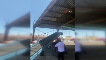 İpte asılı kalan güvercini esnaf kurtardı