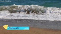 Ocean Waves Video & Sounds: Perfect Beach Scene 