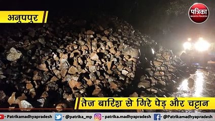 अनुपपुर : तेज बारिश से गिरे पेड़ और चट्टान