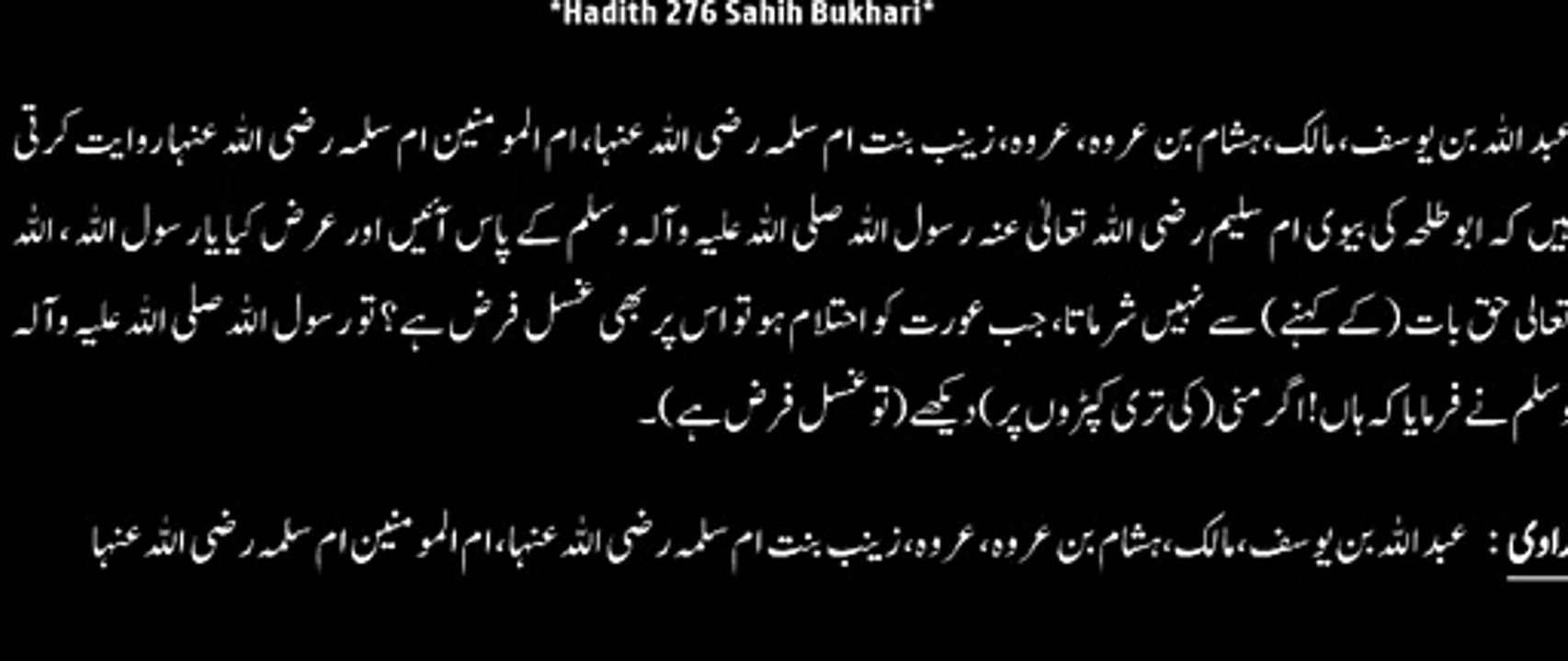 Watch *Hadith 276 Sahih Bukhari*