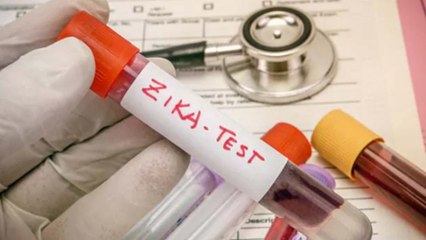 Zika Virus क्या एक से दूसरे में Transmit होता है, कितना खतरनाक है ये | Boldsky