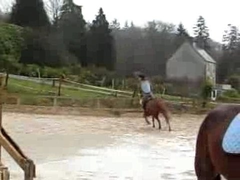 Saut elo galop 5